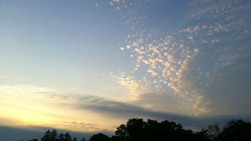 Low angle view of silhouette trees against sky during sunset