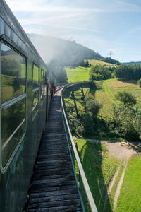Walkway amidst trees on field against sky