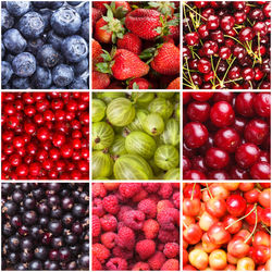 Full frame shot of fruits for sale in market