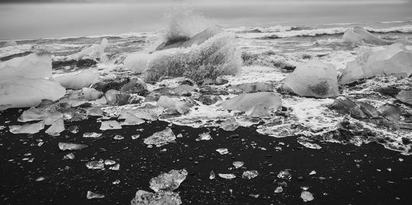 Scenic view of sea shore