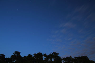 Low angle view of silhouette trees against clear blue sky