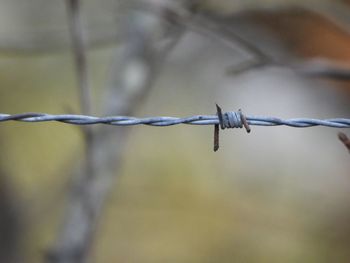 Close-up of barbed wire fence