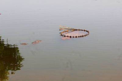 High angle view of a floating in the lake