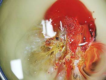 Close-up of ice cream in water