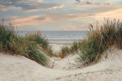 Scenic view of beach against sky during sunset