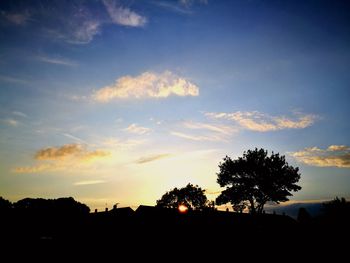 Silhouette trees against sky during sunset