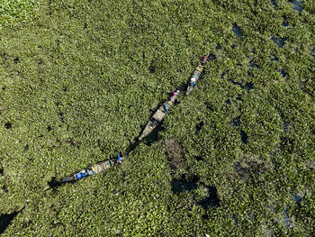 High angle view of agricultural field