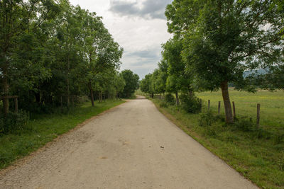 Road amidst trees against sky