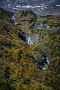 High angle view of trees on landscape