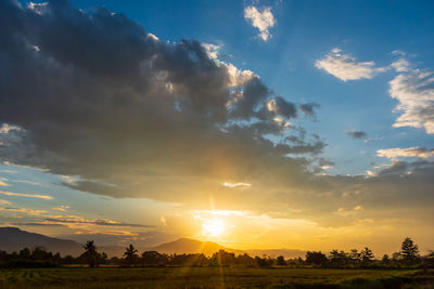 Silhouette trees on field against sky during sunset