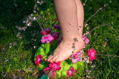 Low section of woman standing on purple flowering plants