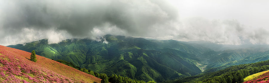 Panoramic view of landscape against sky