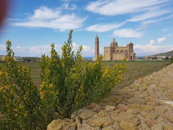 Plants growing in front of historical building