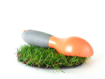 Close-up of banana against white background