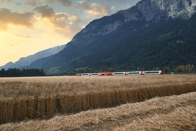 Scenic view of field against mountains