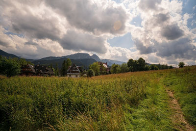 Scenic view of field against sky