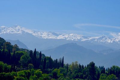 Scenic view of mountains