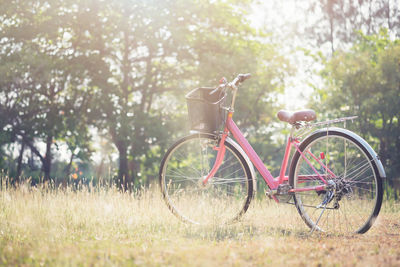 Bicycle on grassy field during sunny day