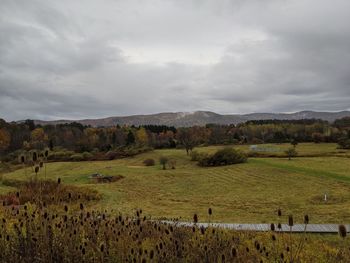 Scenic view of field against sky