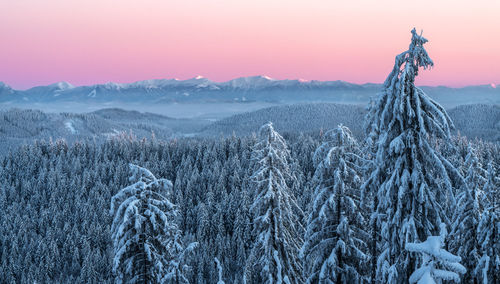 Scenic view of snowcapped mountains against sky during sunset