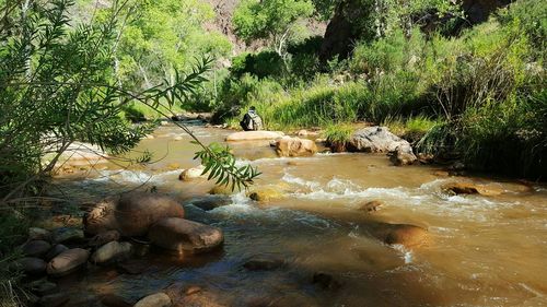 Stream flowing through rocks in forest