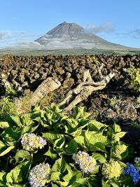 Scenic view of mountains