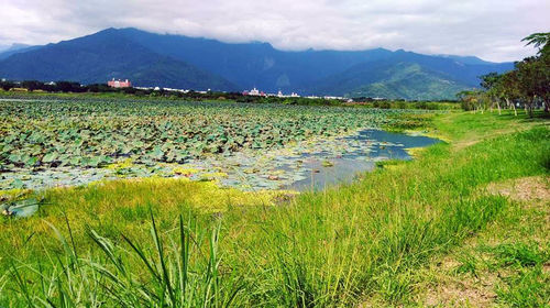Scenic view of land and mountains against sky