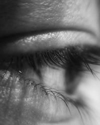 Macro shot of human eye