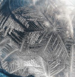 Full frame shot of abstract pattern