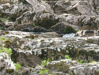 Scenic view of stream flowing through rocks