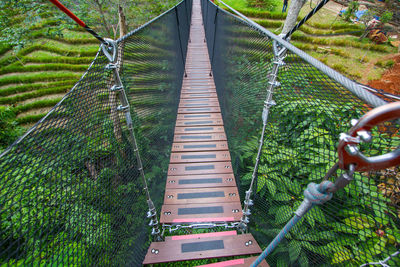 High angle view of footbridge amidst trees in forest