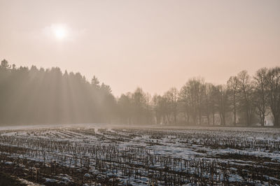 Scenic view of frozen lake against sky during sunset