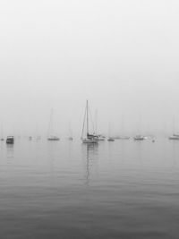 Sailboats in sea against sky