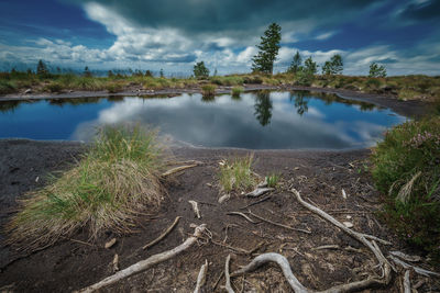 Scenic view of landscape against sky