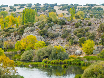 Scenic view of river by trees against sky