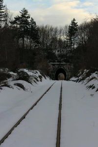 Snow covered landscape