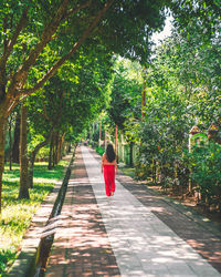 Rear view of young woman walking on footpath amidst trees in park