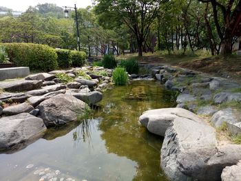 Stream amidst rocks and trees