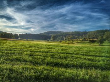 Scenic view of agricultural field against sky