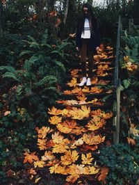 leaf