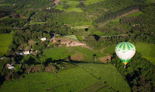 View of hot air balloons on field