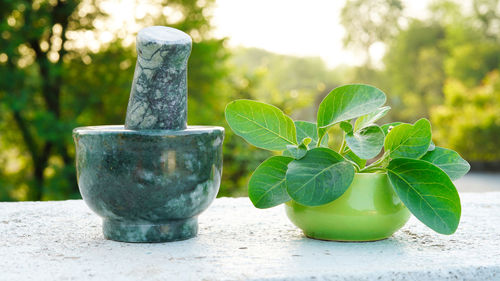 Close-up of mortar and pestle