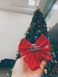 Close-up of hand holding christmas tree