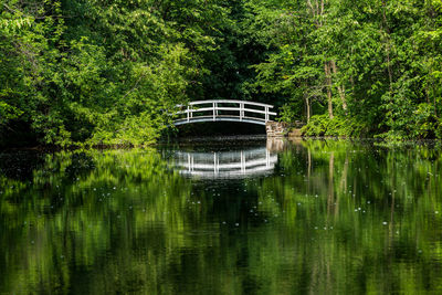 View of a lake