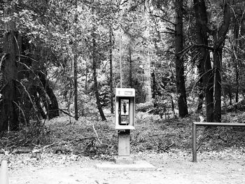 Information sign on field by trees in forest