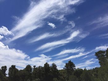 Low angle view of trees against cloudy sky