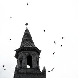 Low angle view of birds flying against clear sky