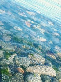 High angle view of rocks on sea shore