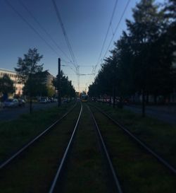 Railroad tracks in the forest