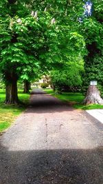 Footpath in park